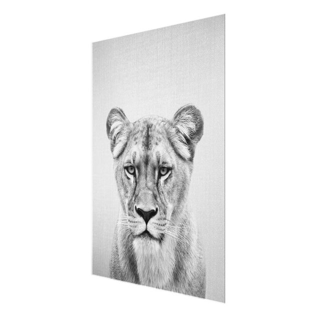 Prints black and white Lioness Lisa Black And White