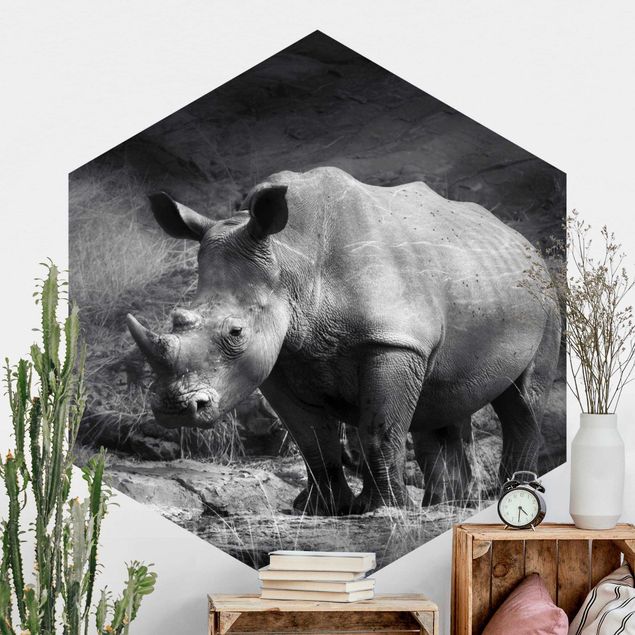 Kitchen Lonesome Rhinoceros