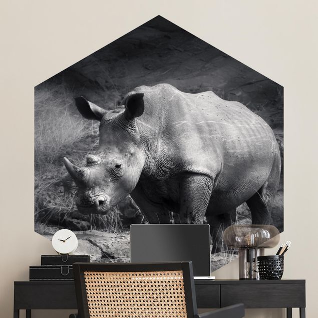 Africa wallpaper Lonesome Rhinoceros