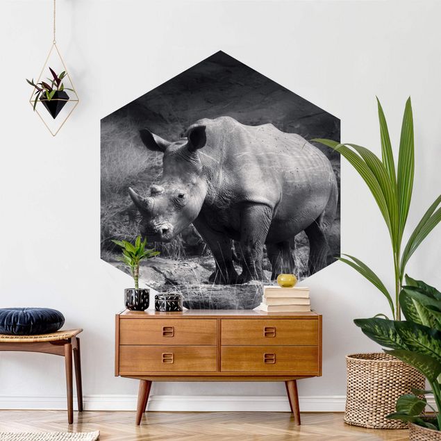 Wallpapers black and white Lonesome Rhinoceros