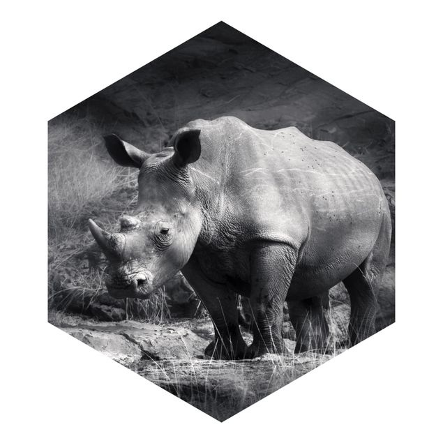 Self adhesive wallpapers Lonesome Rhinoceros