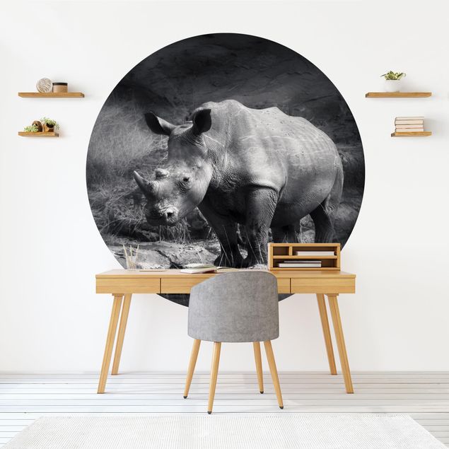 Kitchen Lonesome Rhinoceros