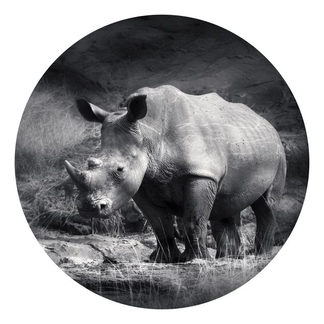 Wallpapers animals Lonesome Rhinoceros