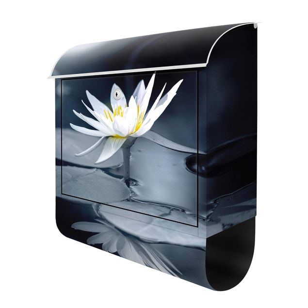 Letterboxes Lotus Reflection In The Water