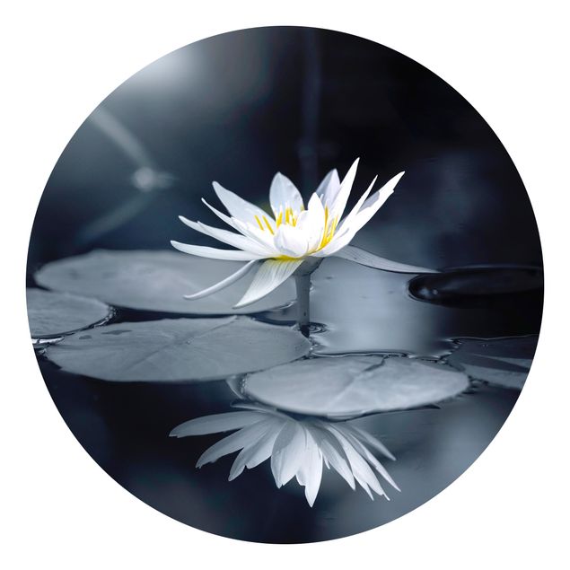 Blue aesthetic wallpaper Lotus Reflection In The Water
