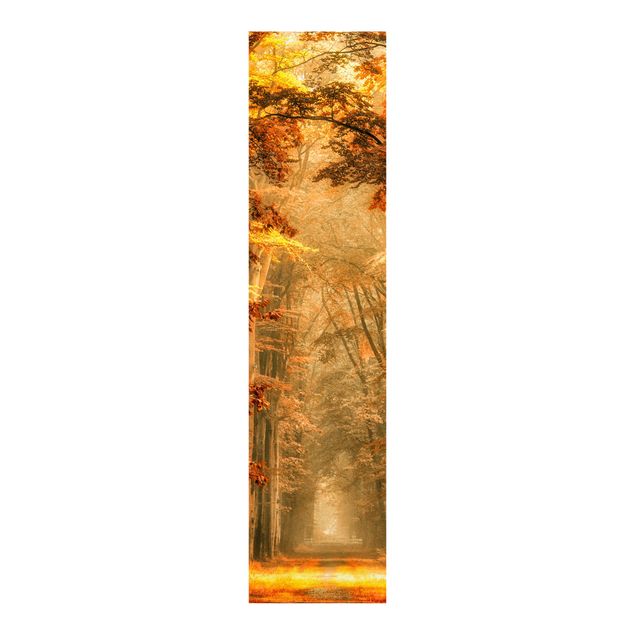 Sliding panel curtains landscape Enchanted Forest In Autumn