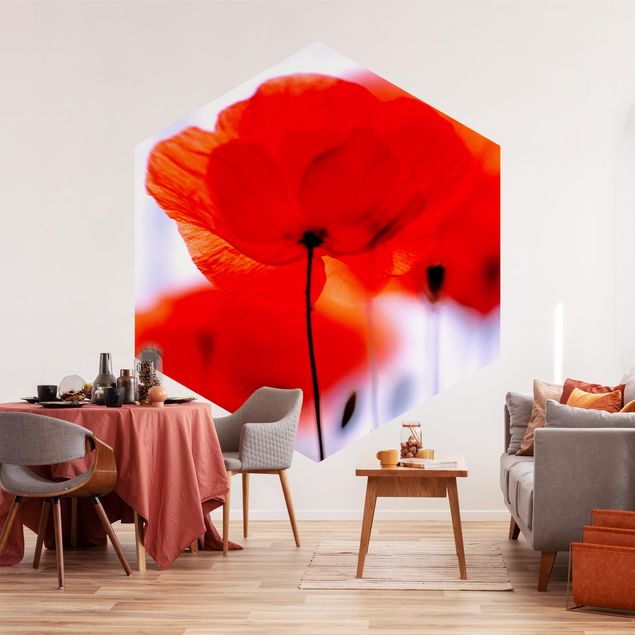 Modern wallpaper designs Magic Poppies