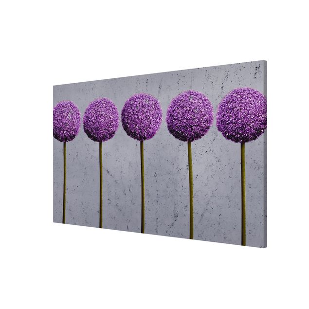 Magnet boards flower Allium Round-Headed Flower
