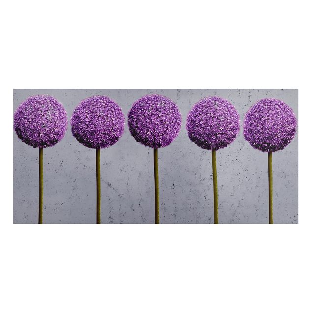 Magnet boards flower Allium Round-Headed Flower
