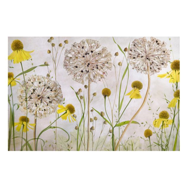 Magnet boards flower Allium And Helenium Illustration