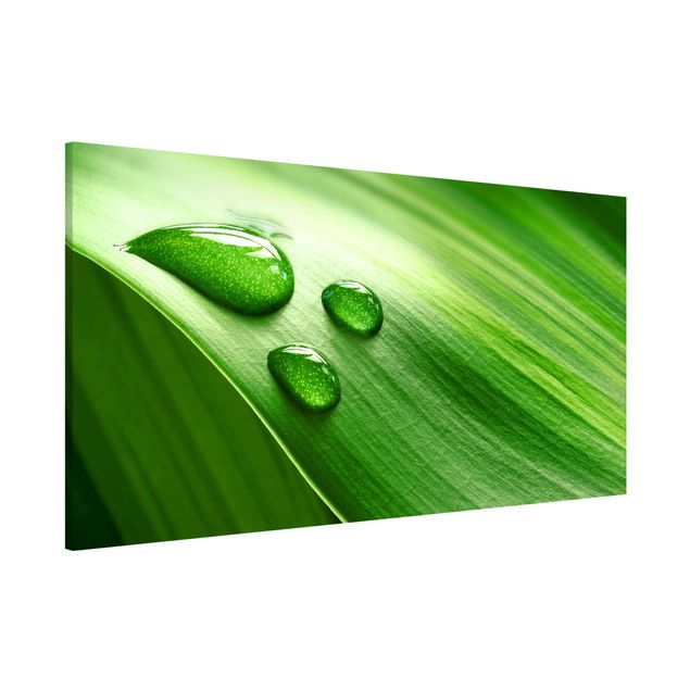 Kitchen Banana Leaf With Drops