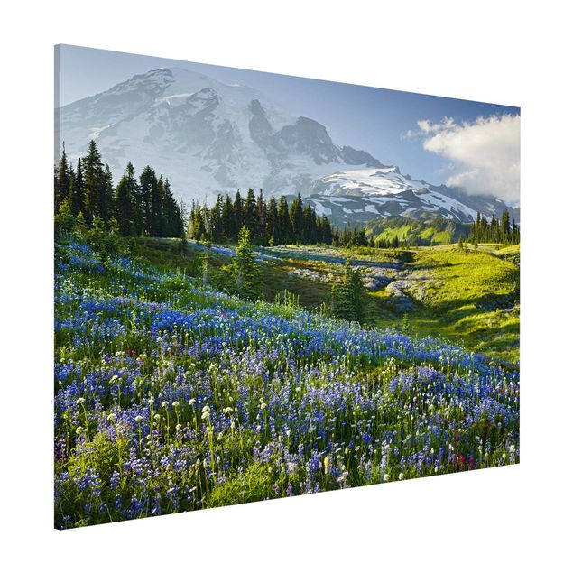 Kitchen Mountain Meadow With Blue Flowers in Front of Mt. Rainier