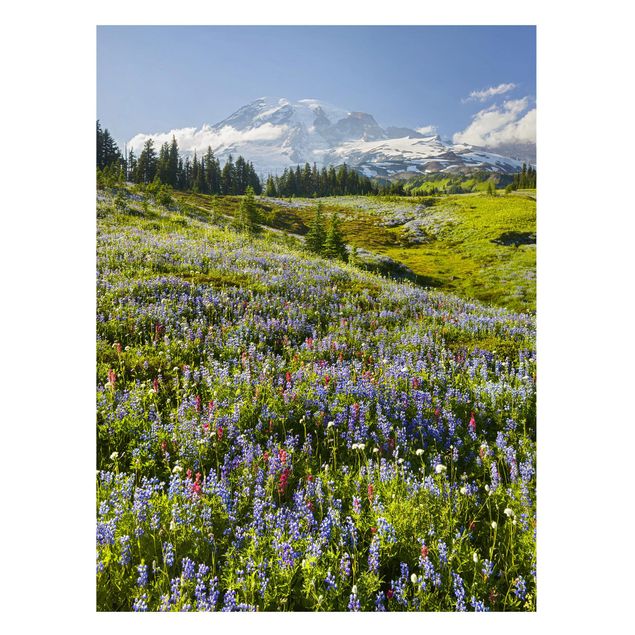 Prints landscape Mountain Meadow With Red Flowers in Front of Mt. Rainier