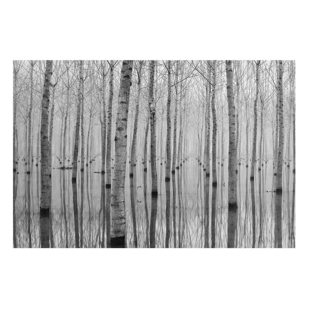 Prints landscape Birches In November