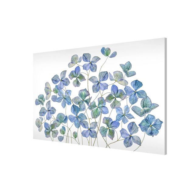 Flower print Blue Hydrangea Flowers