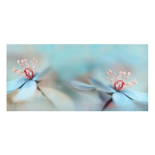 Magnet boards flower Flowers In Light Blue