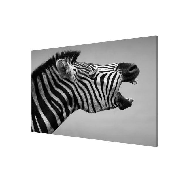 Magnet boards animals Roaring Zebra ll
