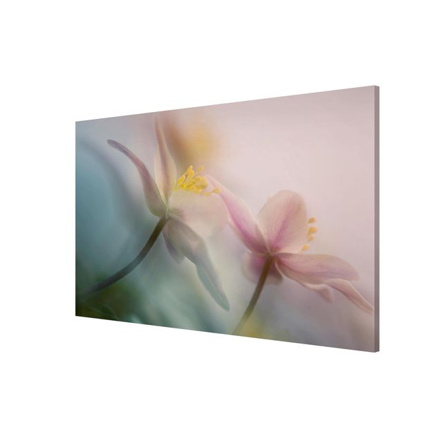 Flower print Wood anemone