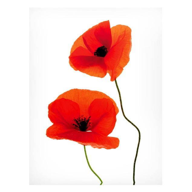 Landscape wall art Charming Poppies