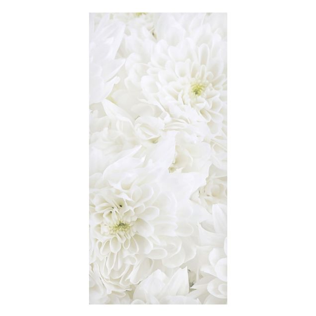 Magnet boards flower Dahlias Sea Of Flowers White