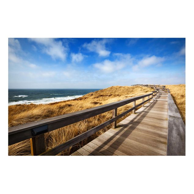 Landscape canvas prints Path between dunes at the North Sea on Sylt