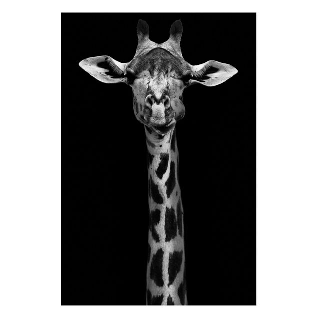 Giraffe art Dark Giraffe Portrait