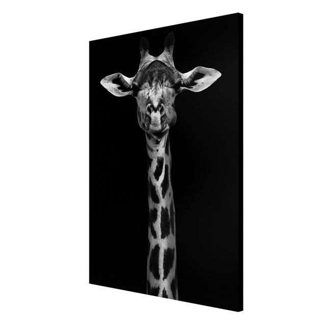 Magnet boards animals Dark Giraffe Portrait