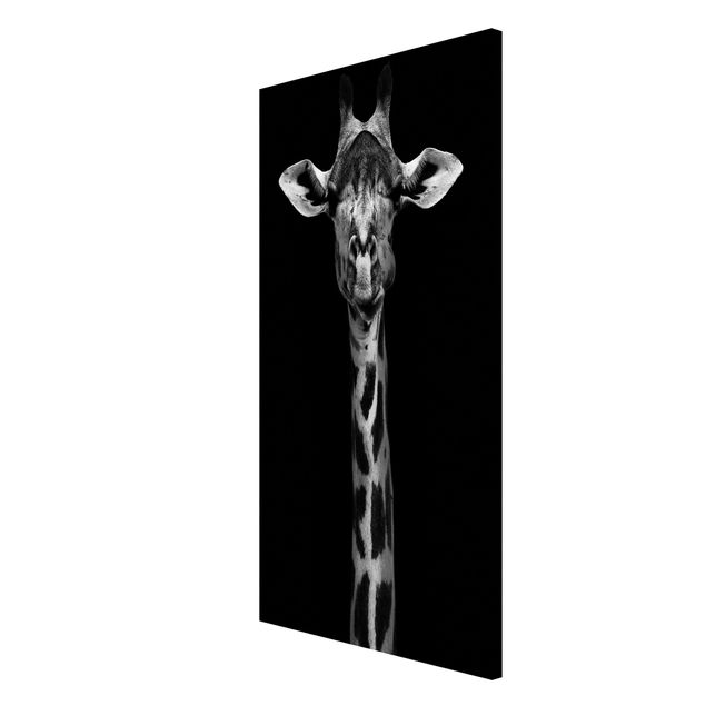 Magnet boards animals Dark Giraffe Portrait