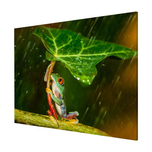 Flower print Frog In The Rain
