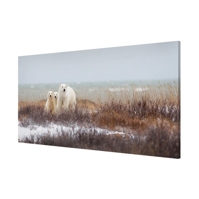 Magnet boards animals Polar Bear And Her Cubs