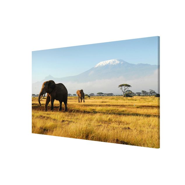 Landscape wall art Elephants In Front Of The Kilimanjaro In Kenya