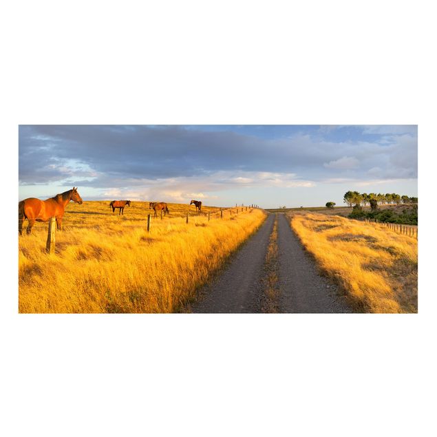 Landscape canvas prints Field Road And Horse In Evening Sun