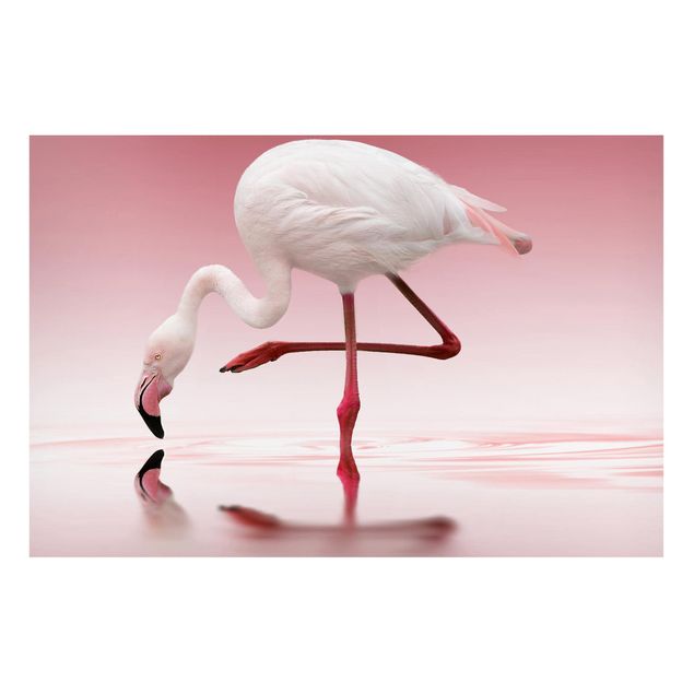 Magnet boards animals Flamingo Dance