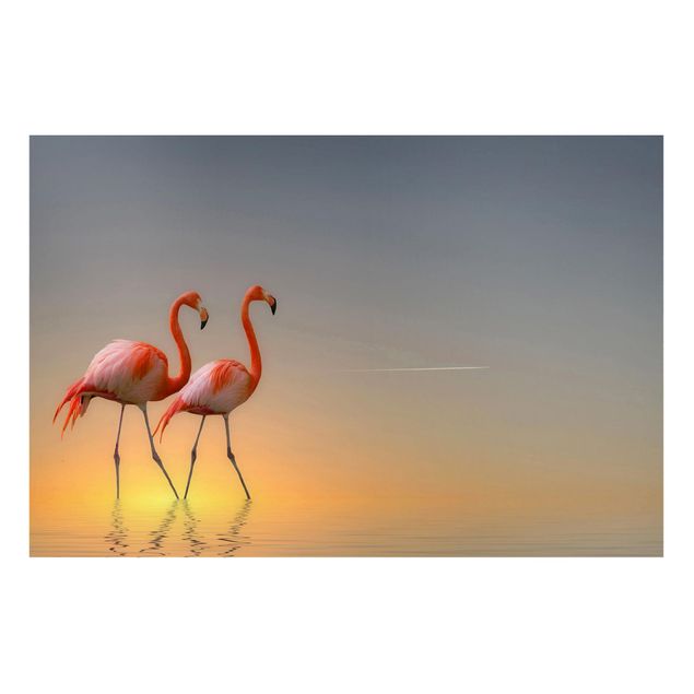 Magnet boards animals Flamingo Love