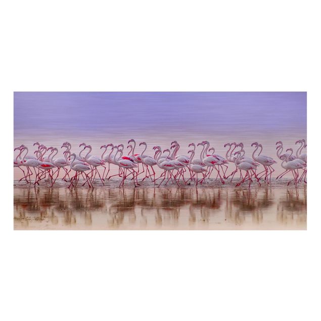 Magnet boards animals Flamingo Party