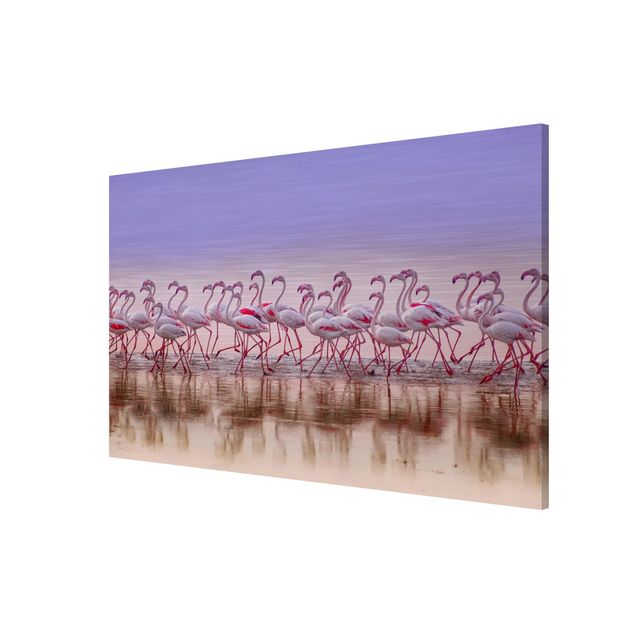 Prints animals Flamingo Party