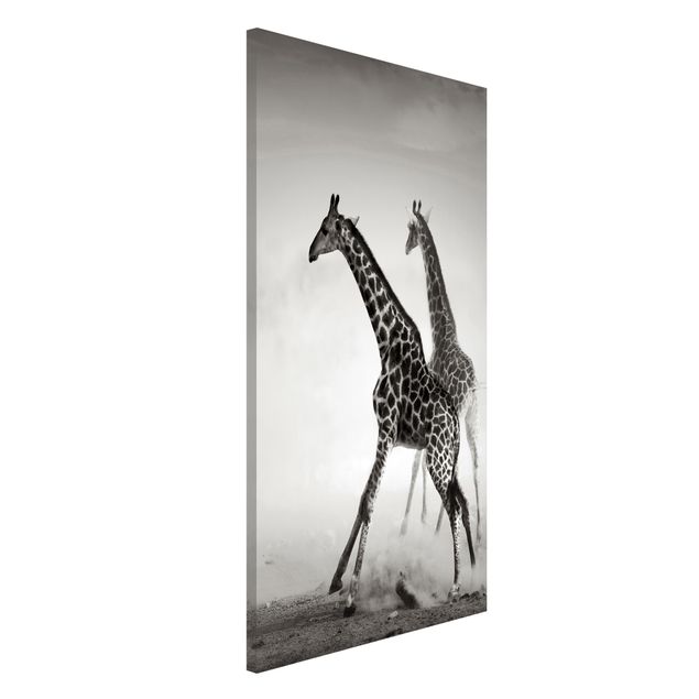 Kitchen Giraffe Hunt