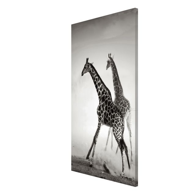 Magnet boards animals Giraffe Hunt