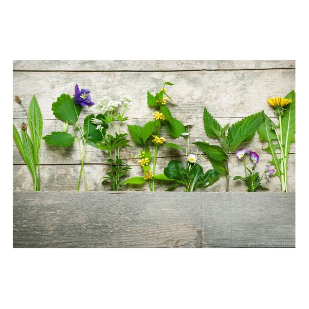 Magnet boards flower Medicinal and Meadow Herbs