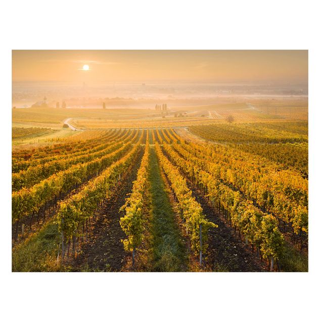 Prints landscape Autumnal Vineyards Near Vienna