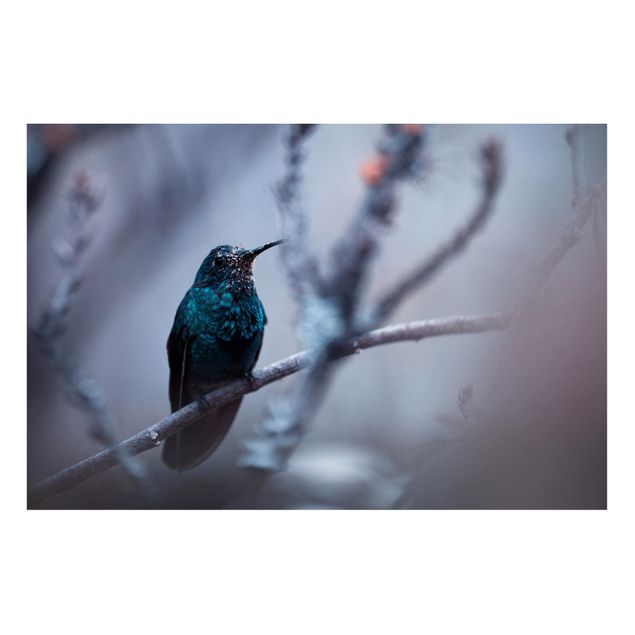 Magnet boards animals Hummingbird In Winter