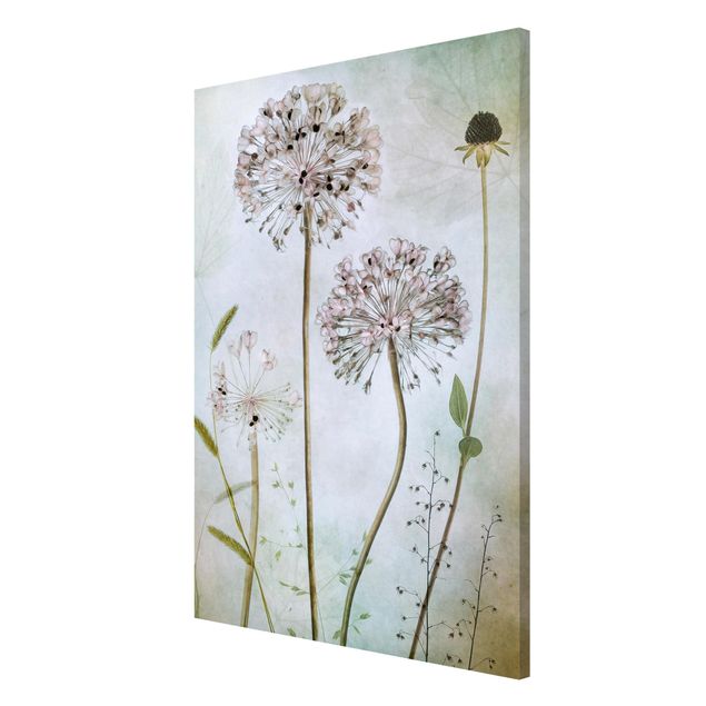 Vintage posters Allium flowers in pastel