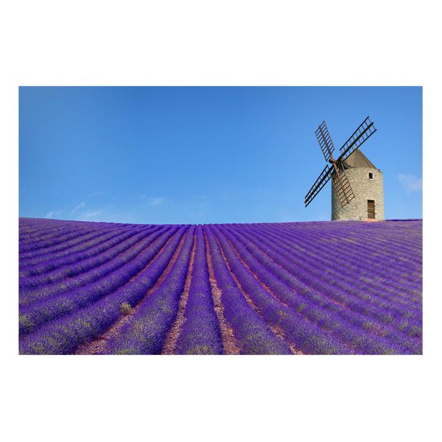 Landscape canvas prints Lavender Scent In The Provence