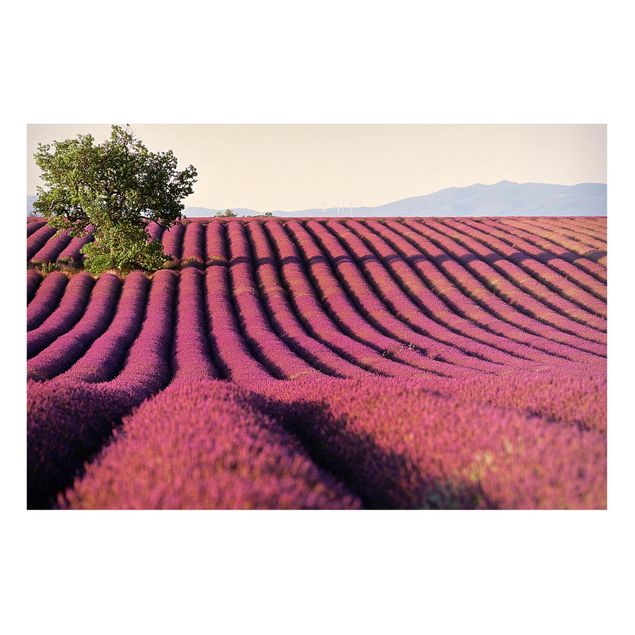 Prints landscape Lavender