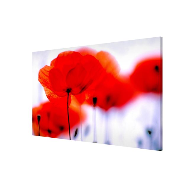 Magnet boards flower Magic Poppies
