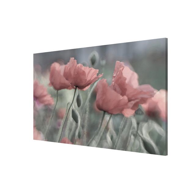 Magnet boards flower Picturesque Poppy