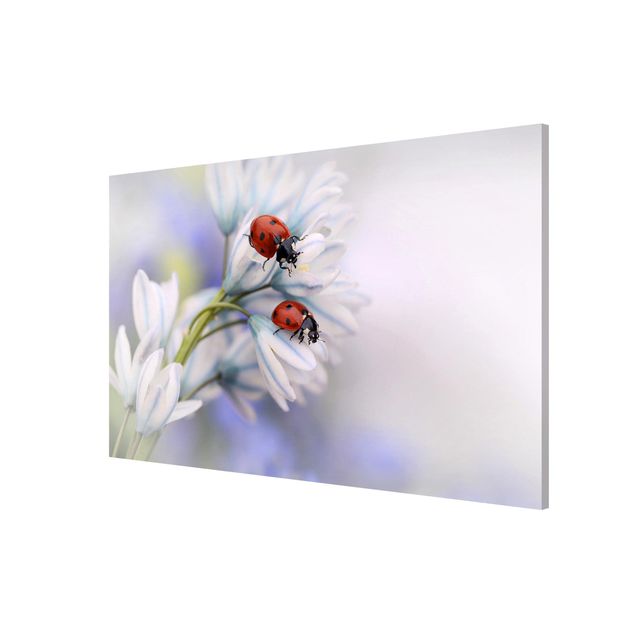 Floral canvas Ladybird Couple
