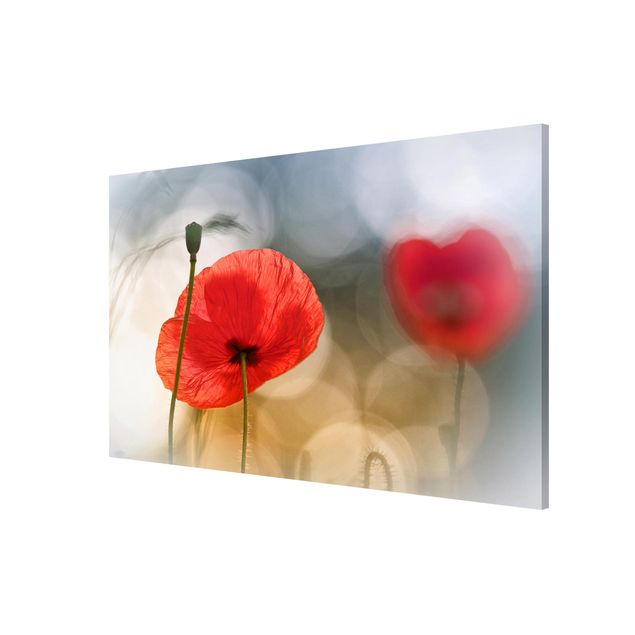 Magnet boards flower Poppies In The Morning