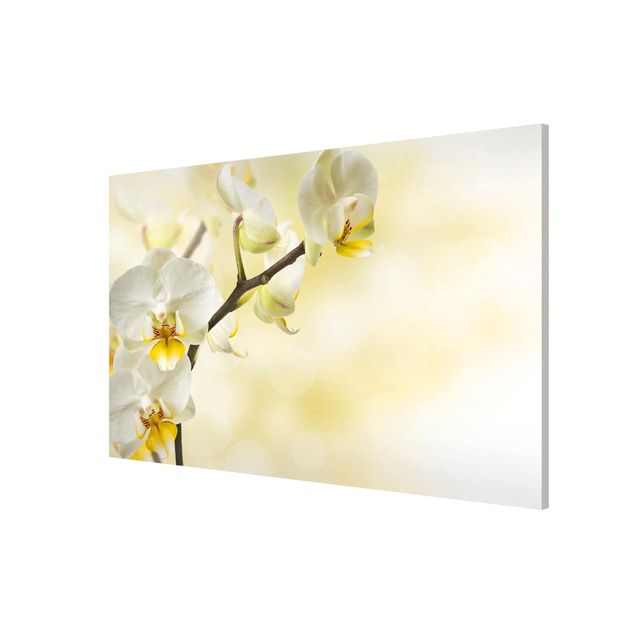 Magnet boards flower Orchid Twig