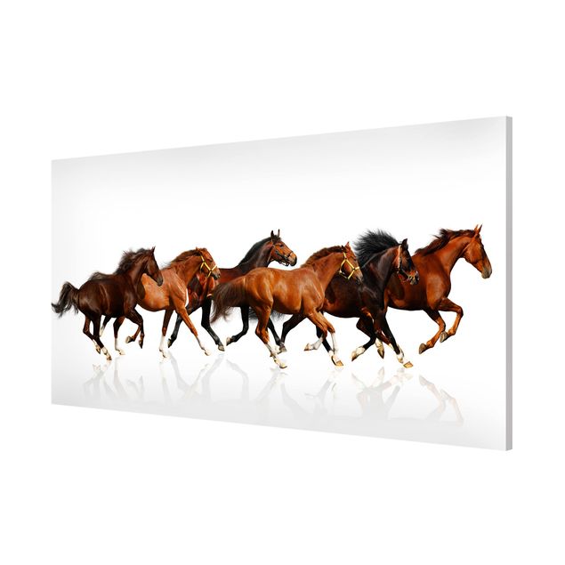 Magnet boards animals Horse Herd